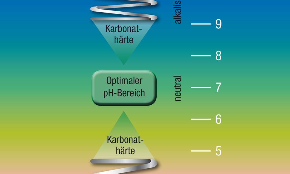41+ Karbonathärte Teich Senken, Wie senke ich die karbonathärte im